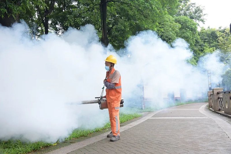 智慧防鼠时代:灭鼠公司引领行业新潮流