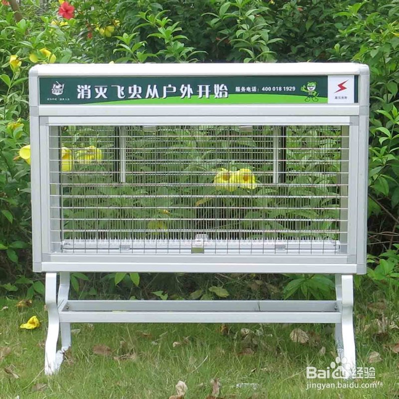 夏日消暑妙招：高效灭蚊蝇策略