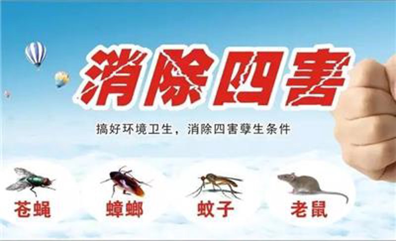 家庭消蟑攻略：智慧生活需与这些小生物争一争