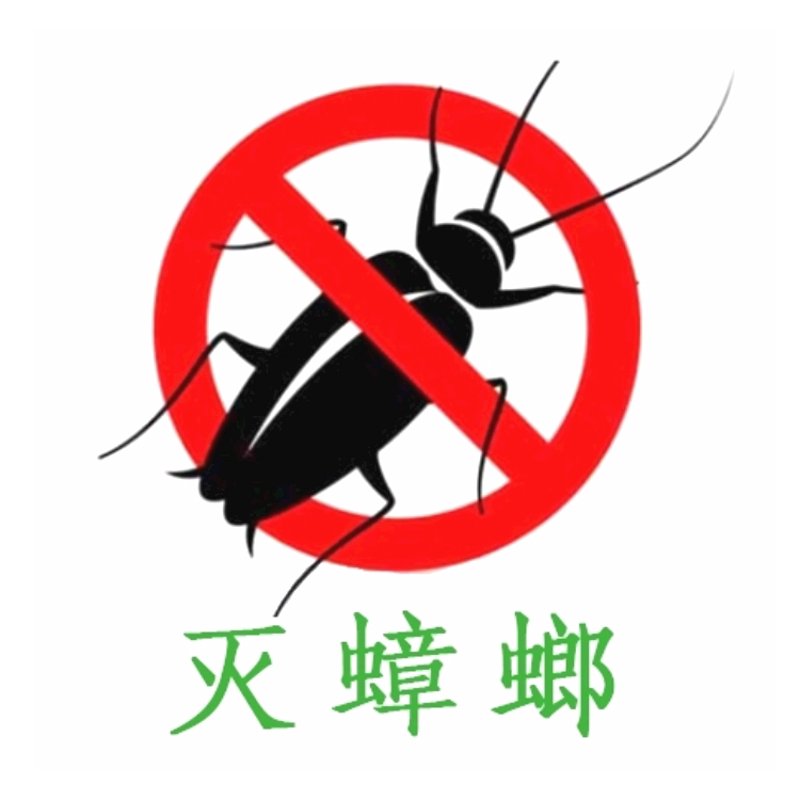 夏日生活的小烦恼:如何有效灭苍蝇